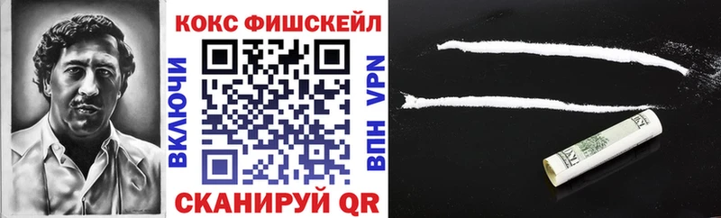 Купить где  Константиновск  COCAIN Fish Scale 