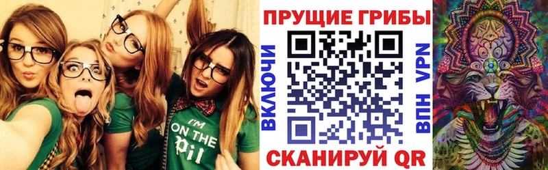 Купить закладки  Константиновск  Псилоцибиновые грибы Psilocybe 